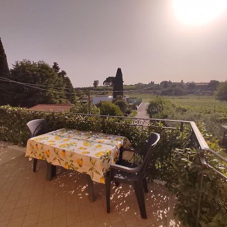 Bedbardolino Διαμέρισμα Εξωτερικό φωτογραφία